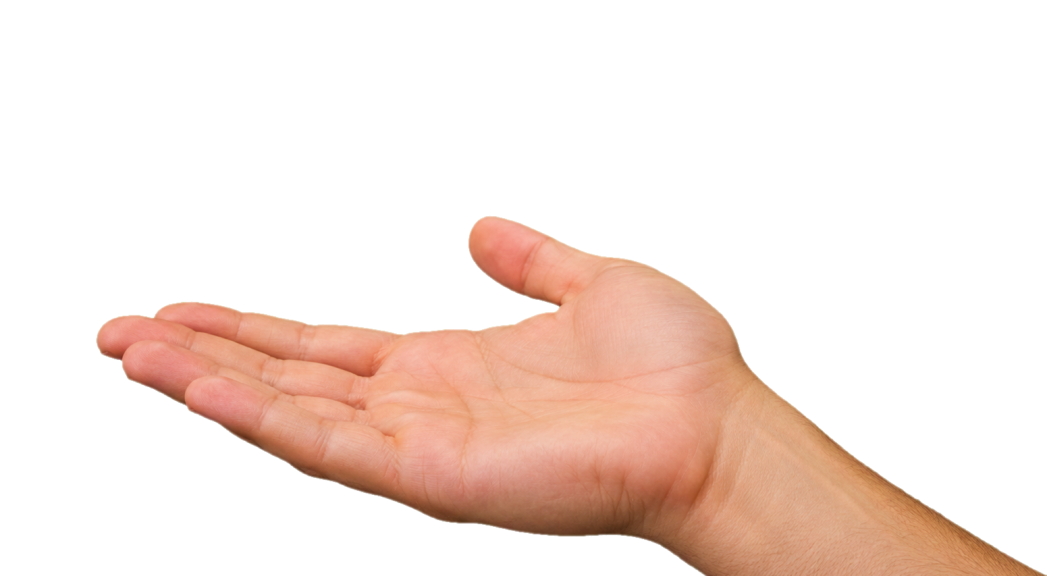 Erwachsene männliche Hand mit warmem Hautton, flach präsentierend und mit sanft nach unten abgewinkeltem Unterarm.